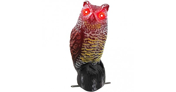 Hausse Solar Powered Fake Owl Decoy Scarecrow Decoy With