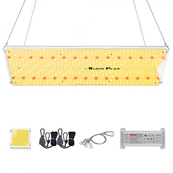 Cheapest Bloom plus LED Grow Light