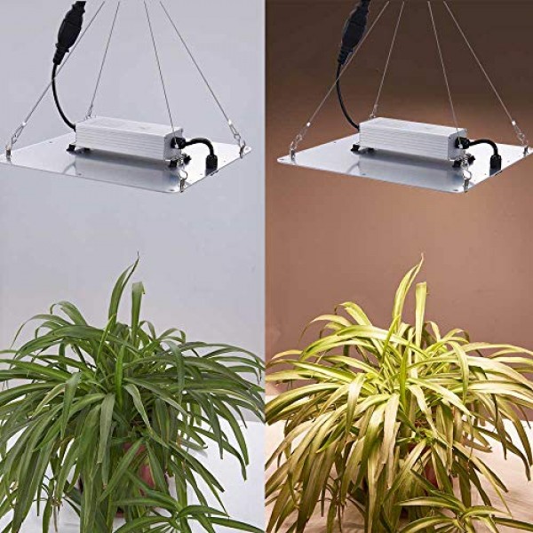 Carambola 1000W LED Grow Light 2x2 ft Sunlike Full Spectrum