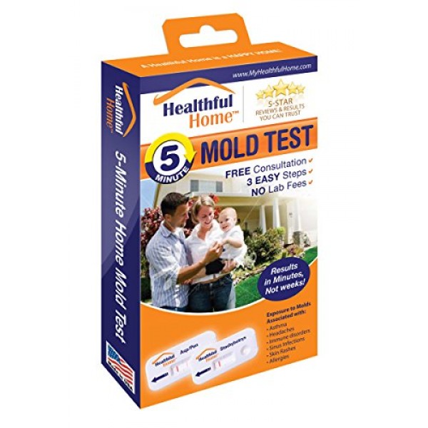 DIY Mold Test, Mold Testing Kit 3 Tests. Lab Analysis and Expert Consultation
