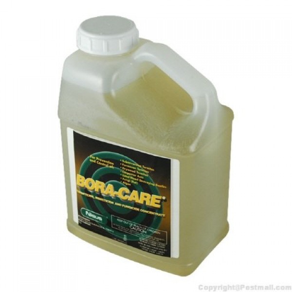 Bora-Care with Mold Care