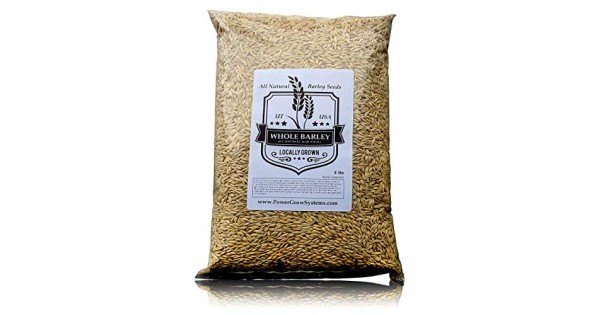 Barley Seeds - All Natural 5 Pounds Whole Barley Seed for ...