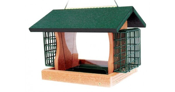 Woodlink Going Green Large Premier Bird Feeder With Suet ...