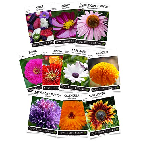 Set of 25 Flower Seed Packets Including 10 Or More Varieties